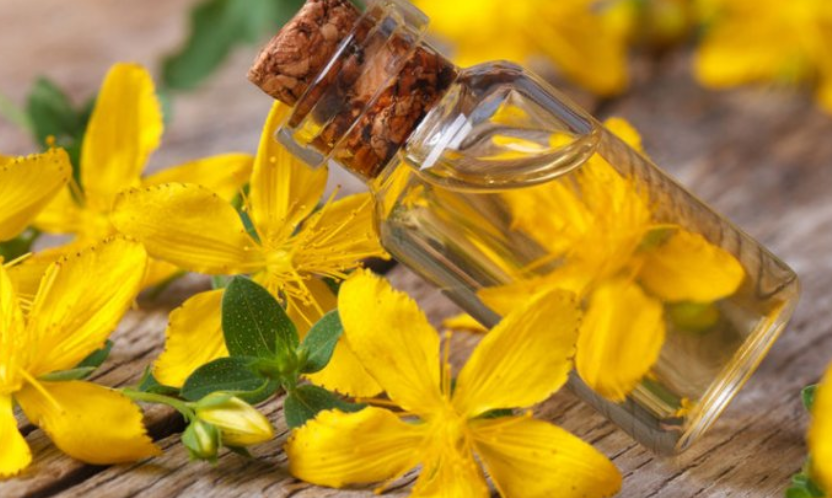 UVIJEK IMAJTE U KUĆI KANTARIONOVO ULJE: Jer jedna bočica liječi 10 bolesti