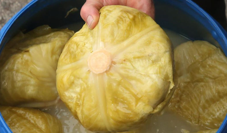 Zimi treba jesti kiseli kupus često: Deluje protuupalno, poboljšava probavu, uz to jača i imunitet