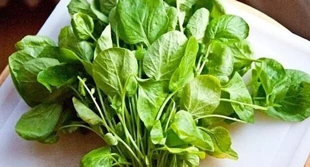 LIJEČI SVE, OD SRCA DO SLABE KOSE: Dokazano NAJZDRAVIJA biljka na svijetu, a niko je ne jede