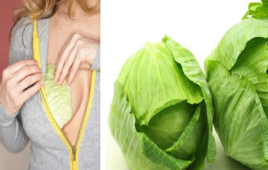 Oblozi od Kupusa su lijek: Evo šta će da se desi ako ih stavite na grudi, noge,ruke ili vrat!