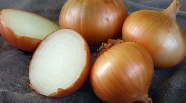 PREKO KOŽE ULAZI U KRVOTOK: Trik sa lukom koji će napraviti čudo za vaše zdravlje…