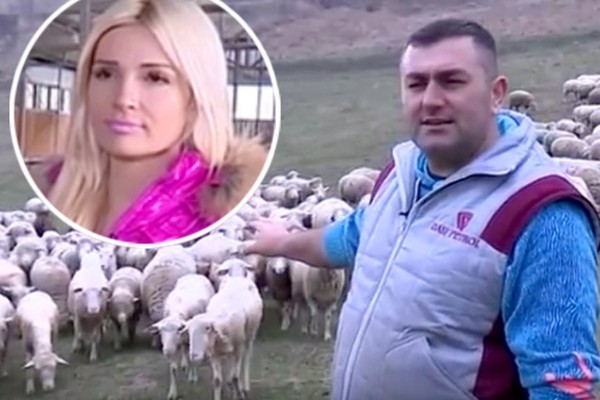 Dalibor posjeduje više od 1.000 ovaca i ima suprugu za kojom se svi okreću. On tvrdi da je ovaj posao dobro plaćen.