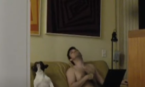 (VIDEO) Devojka Je Postavila Kameru U Dnevnu Sobu. Pogledajte Šta Rade Njen Dečko I PAS Kad Ona Nije Tu!