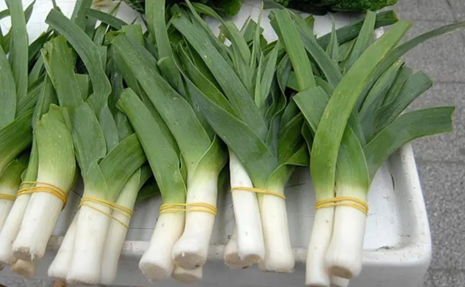 ZA SRCE, PROBAVU, IMUNITET, MRŠAVLJENJE: Kad pročitate koliko je zdrav konzumirat ćete ga svaki dan…