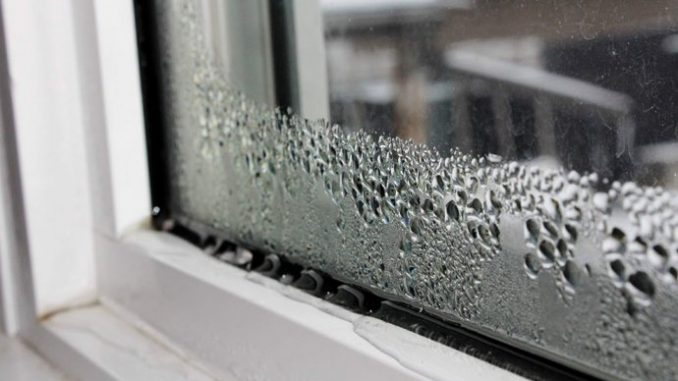 KUĆA VAM SMRDI NA VLAGU, ZIDOVI SE CRNE?? Ne Čekajte Više, EVO Kako Da Se Rešite Ove NAPASTI, Kao Da Je Nikad Nije BILO!