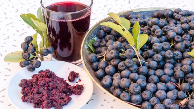 JEDNA ČAŠA SOKA OD ARONIJE NATAŠTE: Pila sam po čašicu ovog soka mesec dana, benefiti su izvanredni