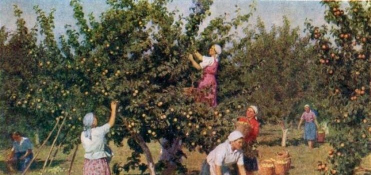 7 Gründe warum deine Großeltern keine Lebensmittelallergien hatten … Du aber schon