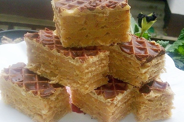 BRZE OBLATNE SA PLAZMOM KOJE SVI VOLE