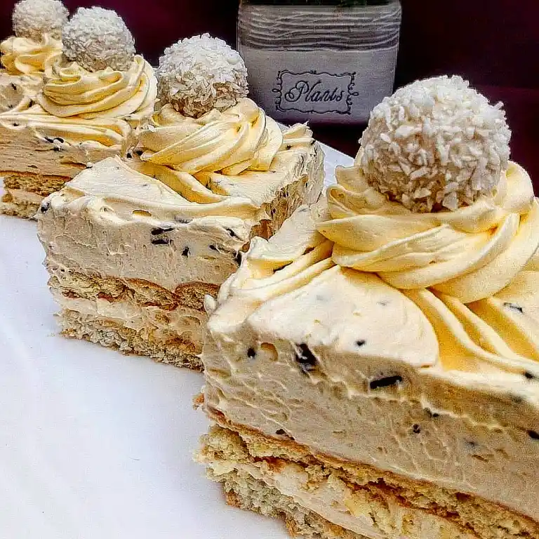 RAFAELO PLAZMA KOCKE-NEODOLJIVO SOČNE