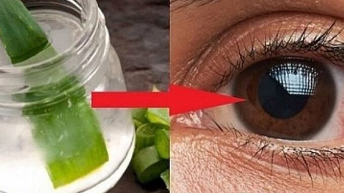 RECEPT ZA NAJJAČI LIJEK ZA VID NA SVIJETU: Preporučujem da ga zapišete jer ćete ga koristiti 100%