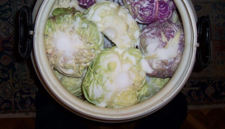 Jedna stvar je potrebna: Trik kako da kupus ukiselite za samo dva dana