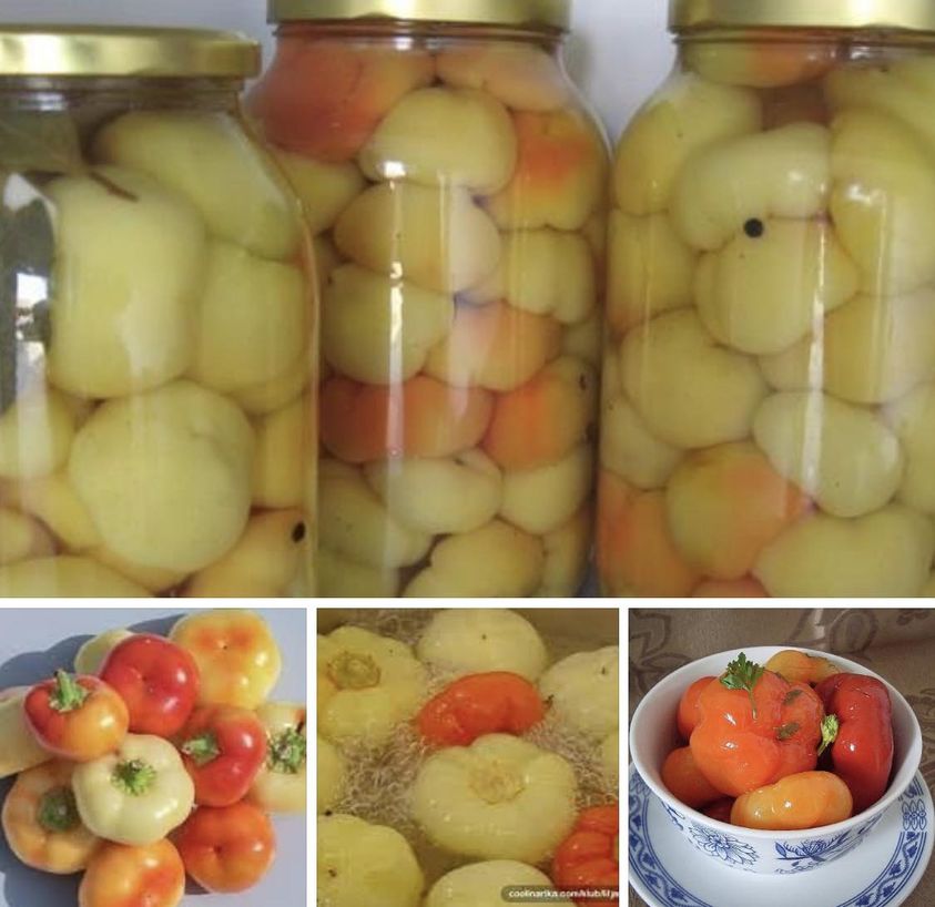 NAJBOLJI NAČIN PRIPREME PARADAJZ-PAPRIKE ZA ZIMNICU IKAD!OVAKO IH PRIPREMAM NIZ GODINA I ZNAM DA ĆE SE I VAMA SVIDJETI!