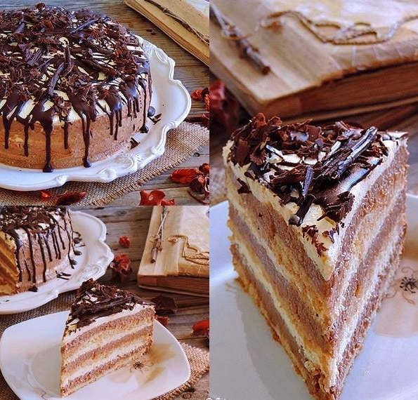 PLAZMA TORTA SAMO ĆU REĆI SAVRŠENA