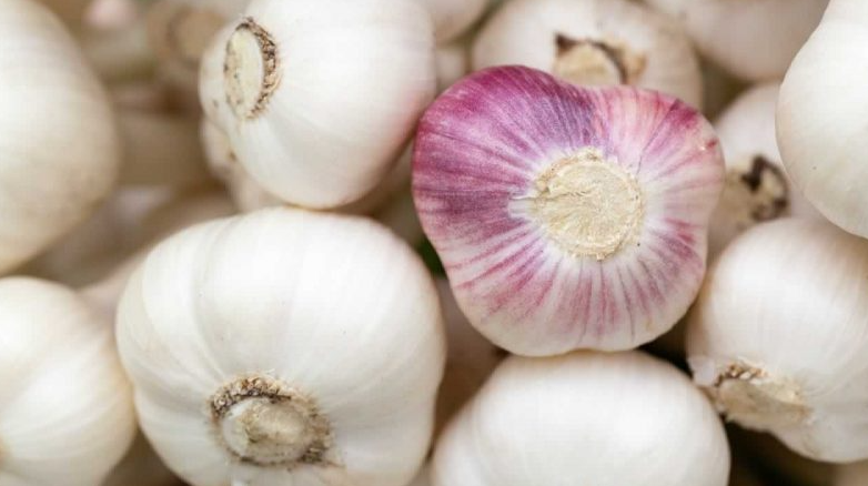 Svi koristimo češnjak prilikom kuhanja, a ne znamo ni šta radi našem srcu