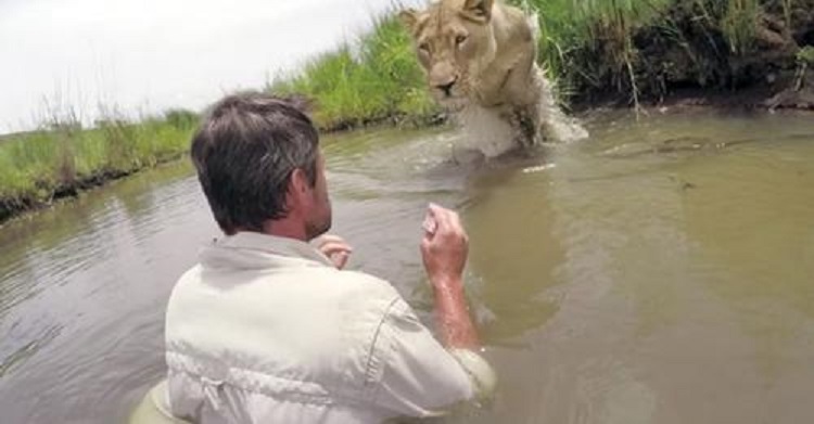 7 godina nakon što je spasio lavicu pronašao ju je u blizini rijeke. Ponovni susret će vam oduzeti dah!