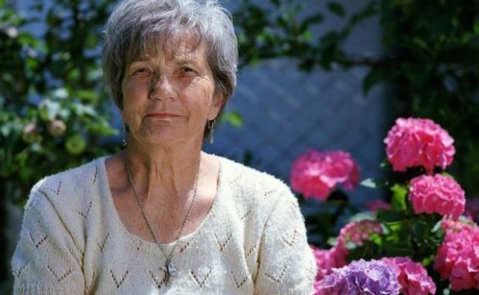 IMAM 60 GODINA – ova biljka mi je vratila vid, izliječila masnu jetru, očistila debelo crijevo!