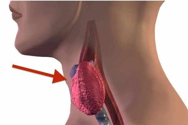 ALARM ZA UZBUNU! 7 SIMPTOMA BOLESTI ŠTITNJAČE: Ako ih ignorišete MOGU NASTATI TEŠKE POSLJEDICE!