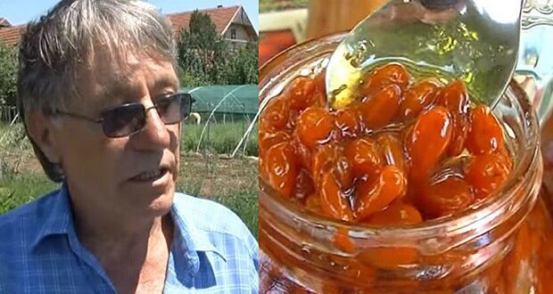 IZLIJEČIO SE OD RAKA: Od tada uzgaja ove LJEKOVITE BOBICE