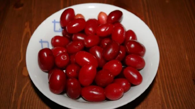 BILJKA KORISNA OD KORE DO PLODA: Danas mnogi ne znaju ni kako se zove……