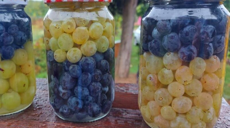 Evo kako spakovati grožđe u tegle za zimu: Recept za kojim su svi poludeli! Ukus je izuzetan…