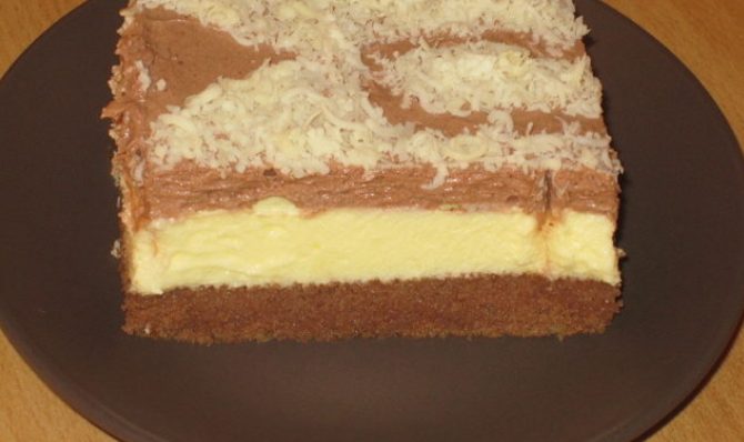HLADNE KOCKE ZA 20 MINUTA... Brz i kremast kolač koji pravim godinama i nikad ne postane dosadan. Jednostavan za pripremu.