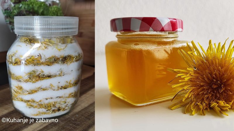 BEZ KUHANJA: SIRUP (med) OD MASLAČKA