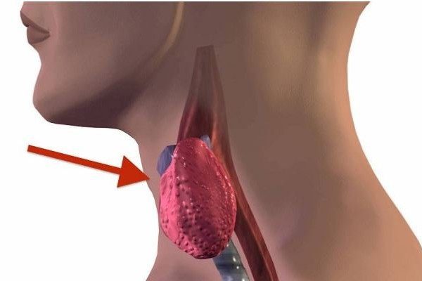 ALARM ZA UZBUNU! 7 SIMPTOMA BOLESTI ŠTITNJAČE: Ako ih ignorišete MOGU NASTATI TEŠKE POSLJEDICE!